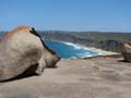Remarkable Rocks